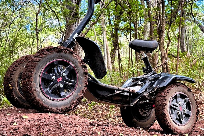 Stand Up ATV/Quad Jungle Trail Adventure - The 50-minute ride: twists, turns, and obstacles that actually test you
