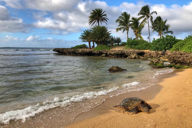 Sunrise Plus Island Tour - Oahu’s “visual road-trip” flow: more stops, less wasted time