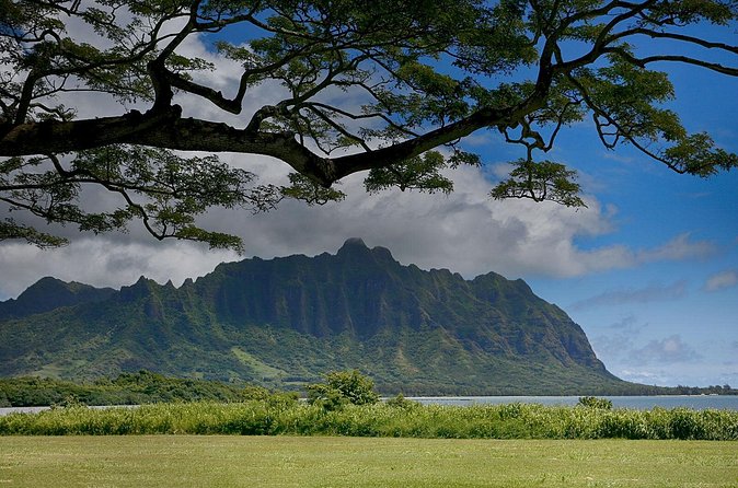 Sunrise Plus Island Tour - Price and value: is $165 fair for a full-day coaching ride?