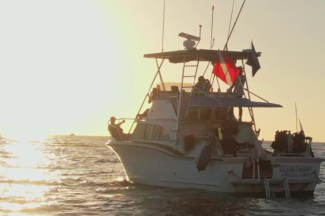 Sunset Cruise along Waikiki Coastline - 5:30 pm timing: how the cruise plays out from sunset to city lights