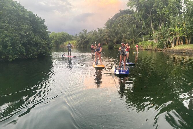 Sunset Stand Up Paddle with Photos and Turtles - Sunset color and guide stories: why the ride is more than a photo stop