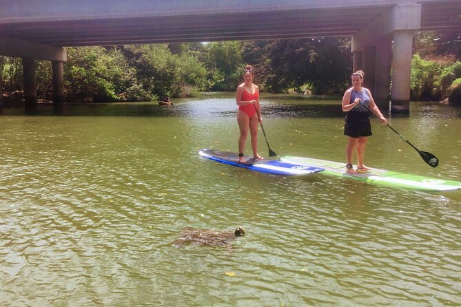 Sunset Stand Up Paddle with Photos and Turtles - Safety, comfort, and who should think twice