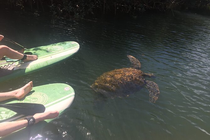 Sunset Stand Up Paddle with Photos and Turtles - Timing rules: why start times are estimates and what to do