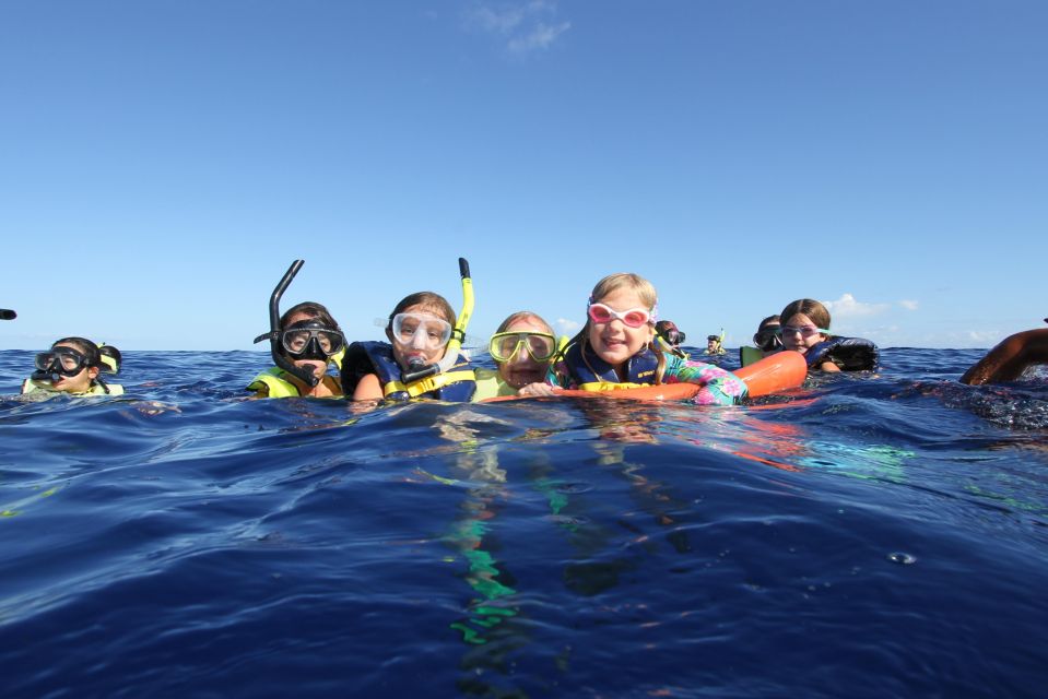Swim with Wild Dolphins Oahu Speedboat Snorkeling Adventure! - Key Things That Make This Tour Worth Your Time