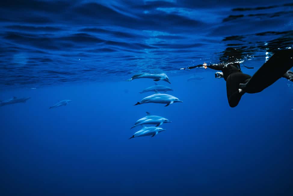 Swim with Wild Dolphins Oahu Speedboat Snorkeling Adventure! - The Dolphin Warrior Ride: Getting Out to Oahu’s West Coast
