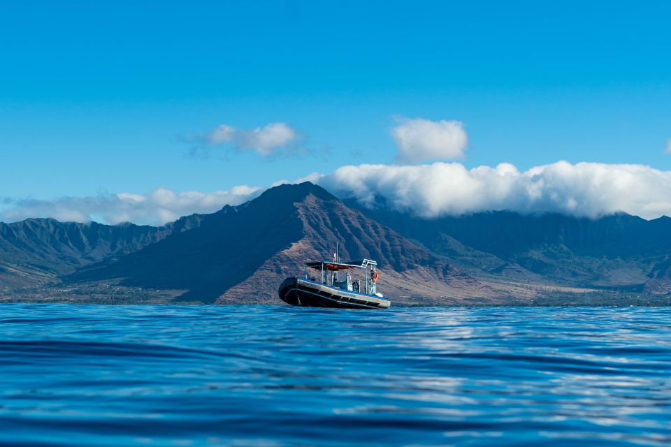 Swim with Wild Dolphins Oahu Speedboat Snorkeling Adventure! - Who Should Book (and Who Should Skip)