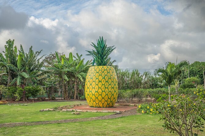 "The Dole Plantation" & "North Shore" Private Limousine VIP Tour! - The Route to Dole and the North Shore: How the Timing Works