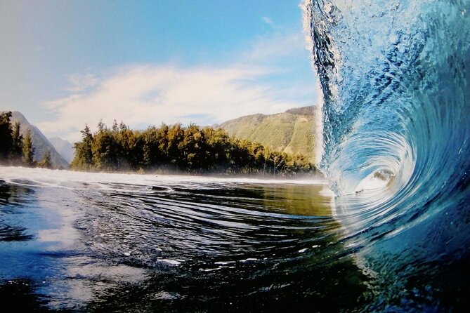 "The Dole Plantation" & "North Shore" Private Limousine VIP Tour! - Stop 3: Haleiwa Town, Sea Turtles, and North Shore Food Energy