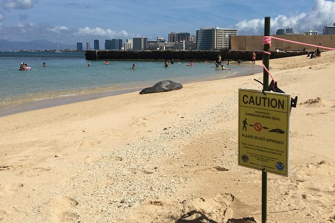 The East Waikiki Walking Tour - Kapi‘olani Park: photos, ice cream, and an easy reset