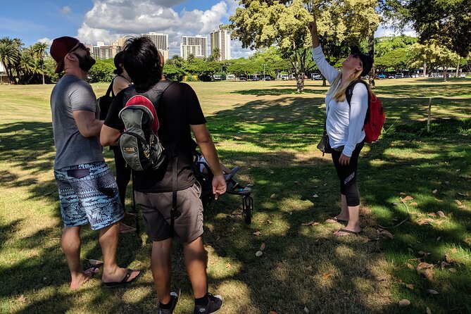 The East Waikiki Walking Tour - Walking the base of Diamond Head (Le‘ahi) for the geology lesson