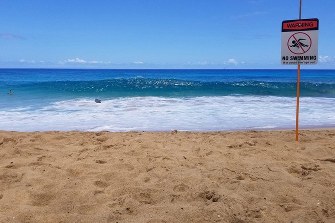 Transportation to North Shore - Key Points You’ll Care About
