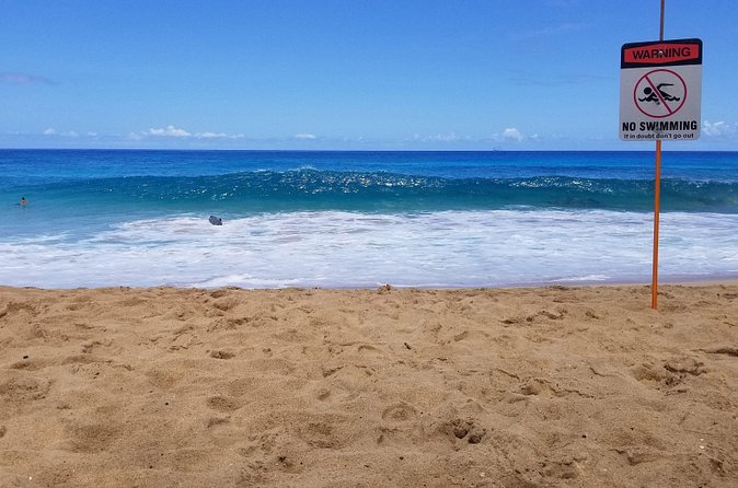 Transportation to North Shore - Lunch, the Cooler, and What to Eat Like a Local