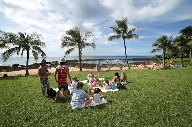 Transportation to North Shore - Snorkeling and Boards: What You Get vs. What You’ll Need to Arrange