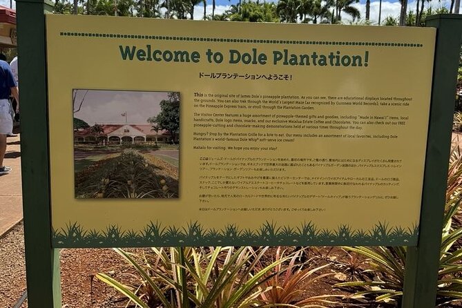 Turtle Snorkeling and Dole Plantation Guided Tour In Oahu - What the live guide and small group size really change