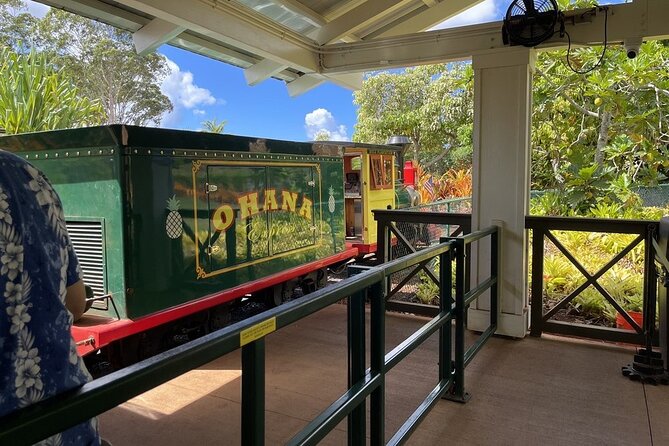 Turtle Snorkeling and Dole Plantation Guided Tour In Oahu - How to get the most out of the day (without overthinking it)