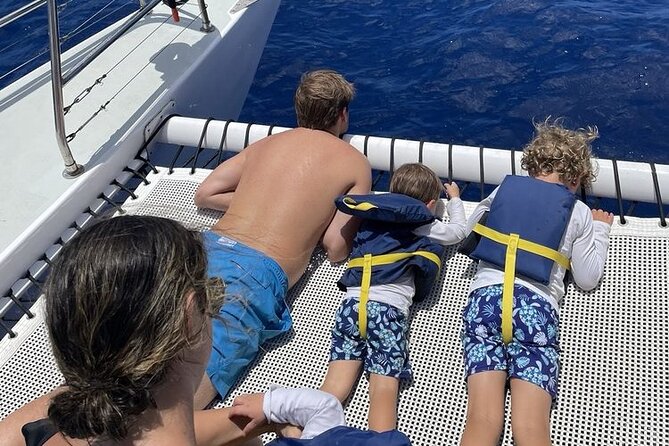 Turtle Snorkeling and Dole Plantation Guided Tour In Oahu - Dole Plantation by train: pineapple fields without the stress of driving