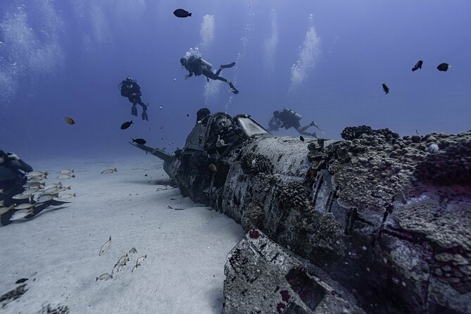Two Tank Wreck and Drift Dive in Oahu - The 7:30am boat routine: how your morning usually unfolds