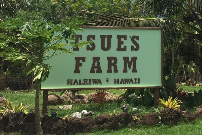 Ultimate North Shore Adventure: Full-Day Hawaiian Experience - A full-day North Shore run built for one tight schedule