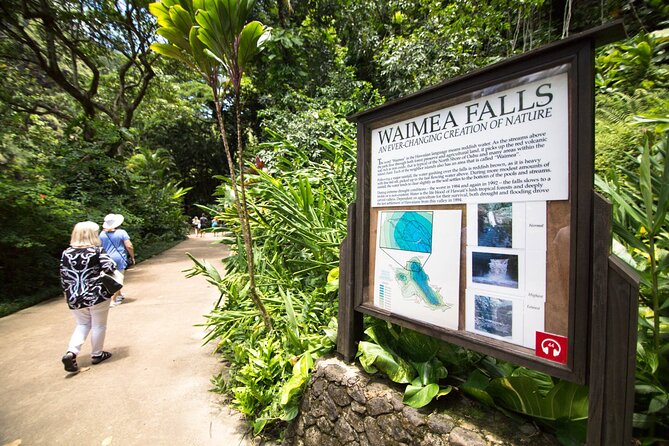 Ultimate North Shore Adventure: Full-Day Hawaiian Experience - Dole Plantation and Haleiwa Town Center: pineapple history and surf views
