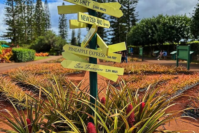 Ultimate North Shore Adventure: Full-Day Hawaiian Experience - Price and value: what $149 buys you in a long day