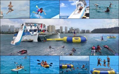 Waikiki: 5-in-1 Turtle Snorkeling Trip with Shuttle Option - How the 3 Hours Flow on the Water