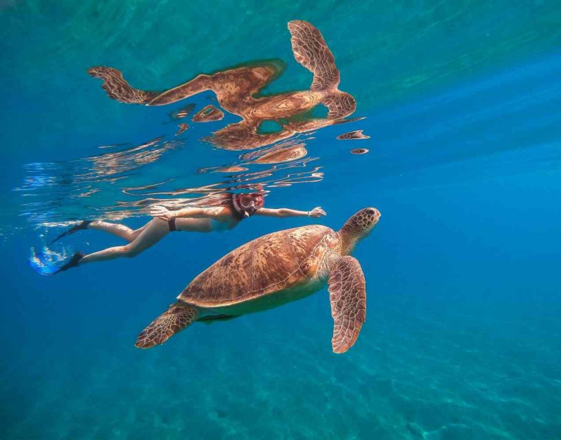 Waikiki: 5-in-1 Turtle Snorkeling Trip with Shuttle Option - Trampoline and Waikiki’s Longest Onboard Water Slide