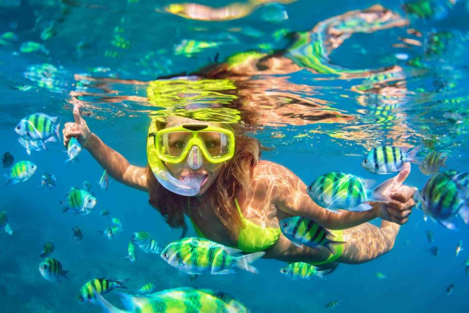 Waikiki: 5-in-1 Turtle Snorkeling Trip with Shuttle Option - Price and What’s Included: Is $115 Good Value?