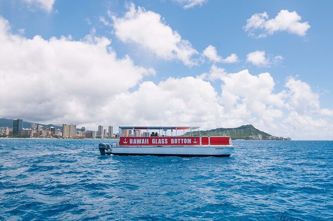 Waikiki Beach Glass Bottom Boat Cruise - What You’ll See Underwater: Fish, Turtles, and Seasonal Whales