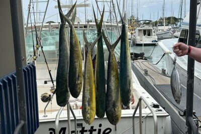 Waikiki Deep Sea Fishing Charter from Oahu - Where You Start: Ala Moana Meeting Point and Simple Logistics