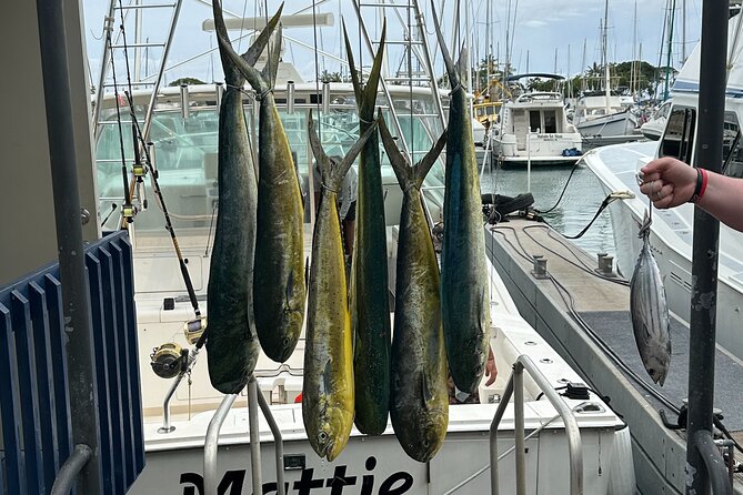 Waikiki Deep Sea Fishing Charter from Oahu - Where You Start: Ala Moana Meeting Point and Simple Logistics