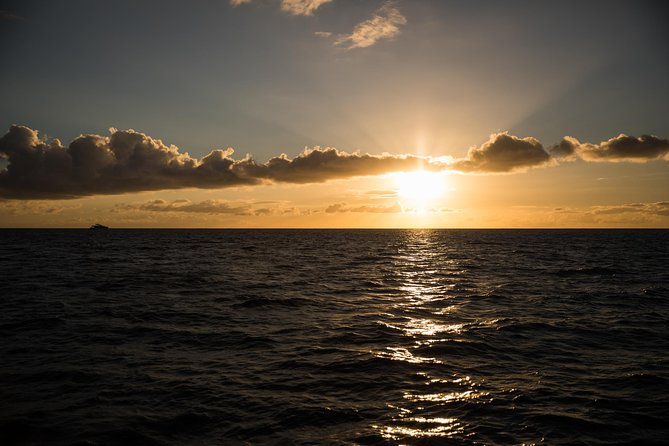 Waikiki Fireworks Dinner Cruise: Sail & Sparkle on Friday Nights - Who This Catamaran Works Best For