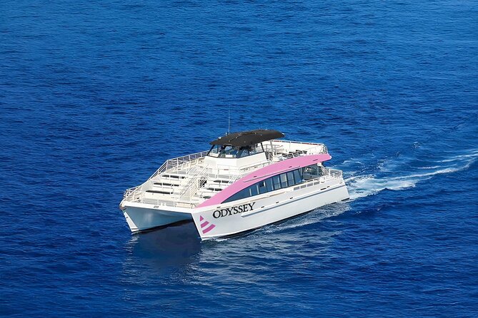 Waikiki: Friday Night Fireworks Catamaran Cruise - Crew Energy and How It Changes Your Time on the Water