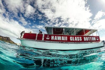 Waikiki Glass Bottom Boat Tour - The Kewalo Basin departure: where to show up and what to watch for