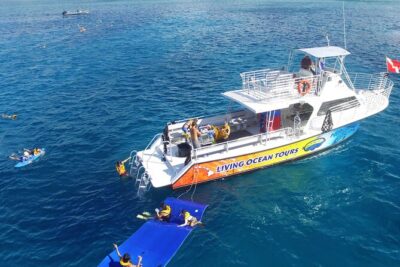 Waikiki, Hawaii: Turtle Canyon Snorkel Excursion - The boat routine: short ride, real snacks, and wildlife on the way