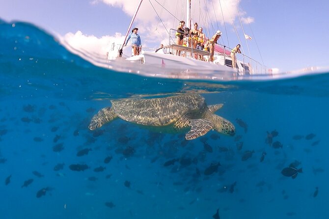 Waikiki: Turtle Canyon Snorkel - What to bring for better photos and calmer snorkeling