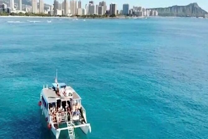 Waikiki Turtle Canyon Snorkeling Adventure - Stop 2: Kewalo Basin and the boat-to-ocean transition