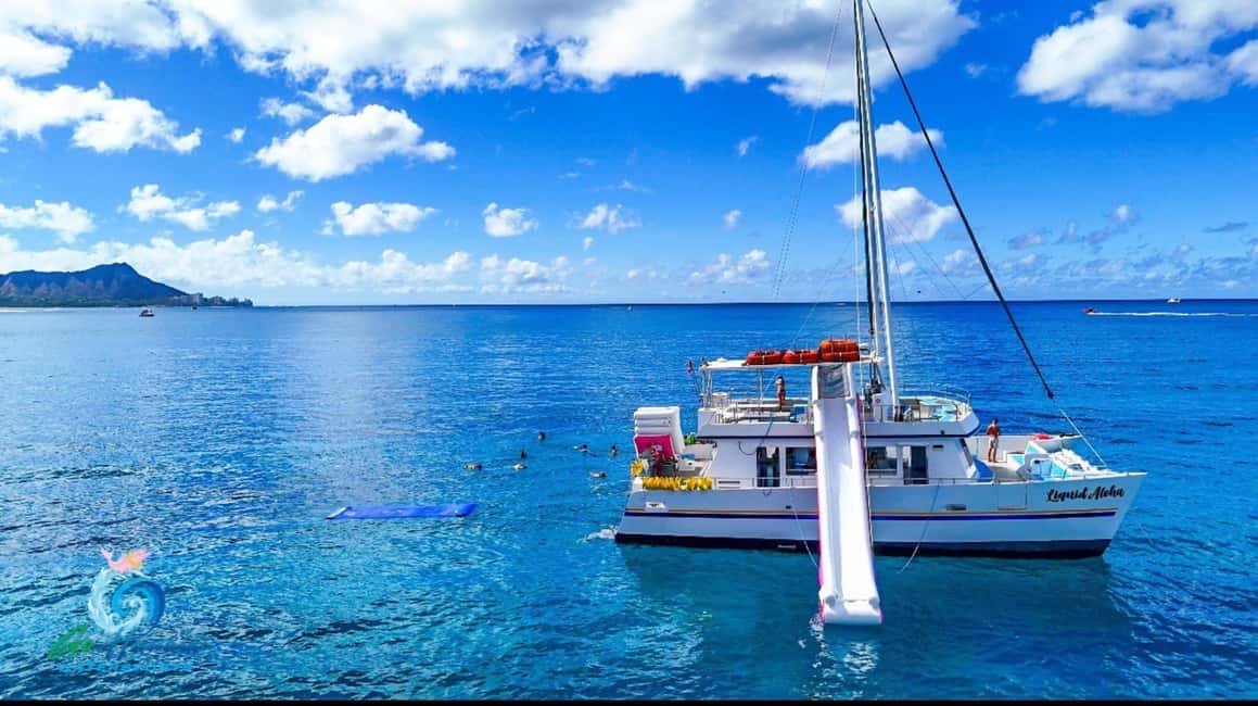 Waikiki Turtle Snorkel Adventure - What Makes This Waikiki Turtle Snorkel a Smarter Choice