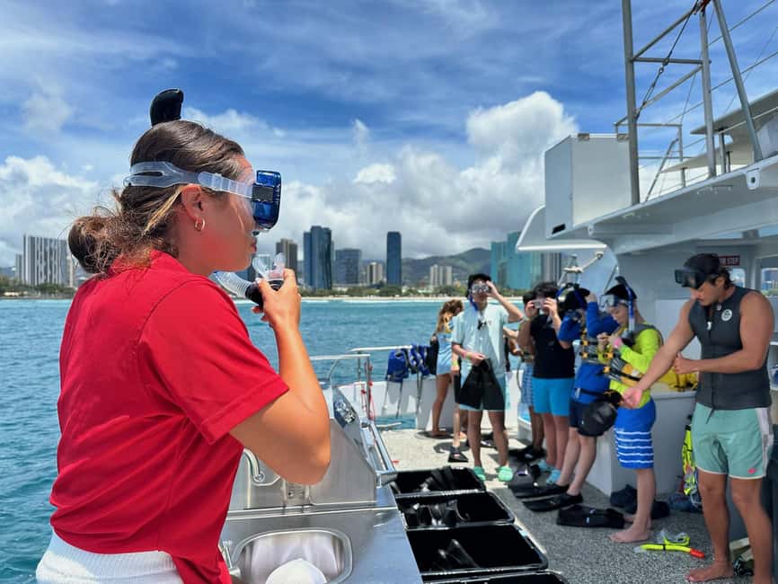 Waikiki Turtle Snorkel Adventure - How the Crew Chooses Your Snorkel Spot (And Why It Matters)
