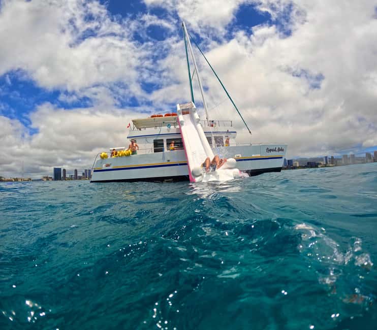 Waikiki Turtle Snorkel Adventure - Price and Value: Where Your $59 Goes