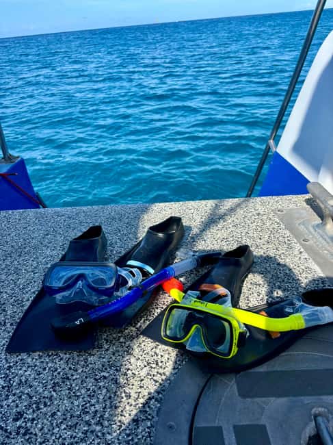 Waikiki Turtle Snorkel Adventure - What to Bring (So the Trip Feels Easy)