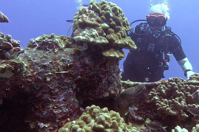 Waikiki Two Tank Guided Scuba Diving Adventure: Certified Diver - Getting to Ala Wai: the “minutes-from-Waikiki” advantage