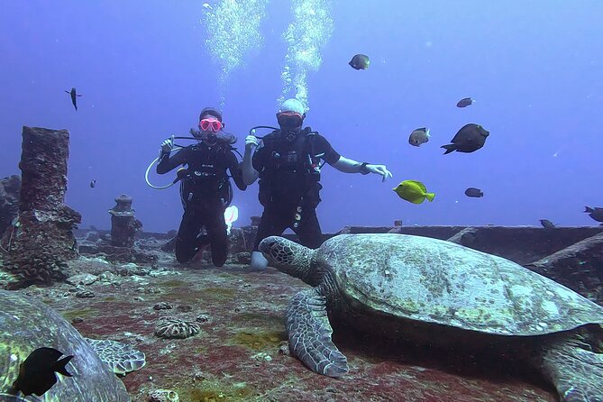 Waikiki Two Tank Guided Scuba Diving Adventure: Certified Diver - Wildlife sightings: what you might see off Waikiki