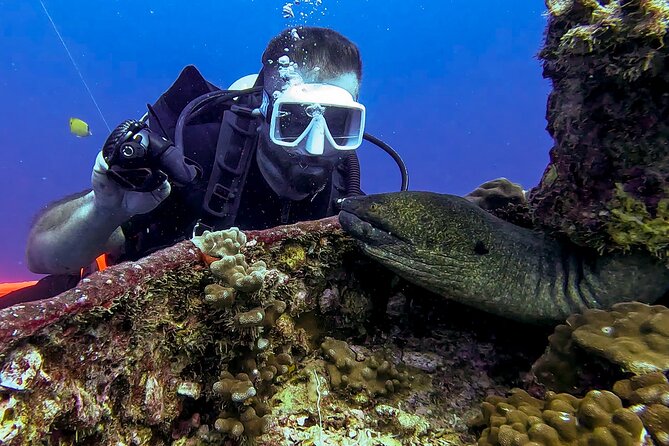 Waikiki Two Tank Guided Scuba Diving Adventure: Certified Diver - Your guide experience: professional, and sometimes very personal