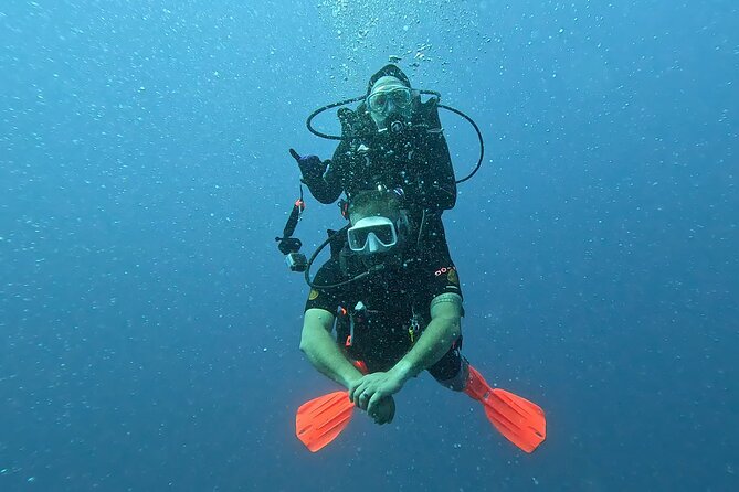 Waikiki Two Tank Guided Scuba Diving Adventure: Certified Diver - Price and value: is $249 a good deal?