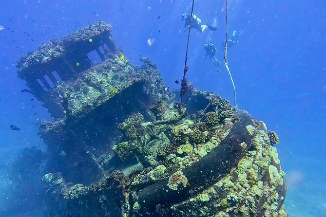 Waikiki Two Tank Guided Scuba Diving Adventure: Certified Diver - Who should book this (and who should skip it)