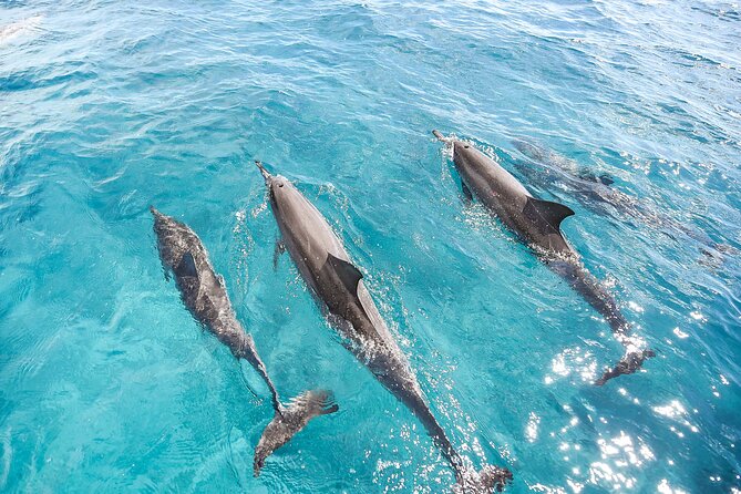 Waikiki's Premier Small Group Sunset Yacht + Tasting - Service and Space: Why Triple Decks Feel Better With Only Six People