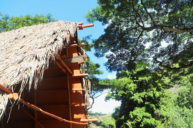 Waimea Valley Waterfall Swim & Dole Plantation Tour with Lunch - Key things to know before you go
