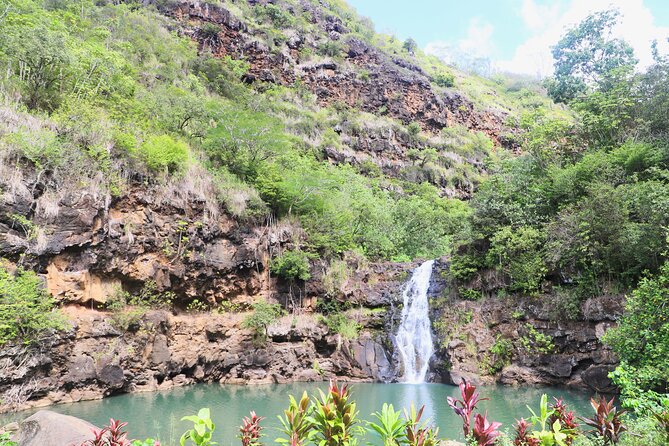Waimea Valley Waterfall Swim & Dole Plantation Tour with Lunch - Pickup, Comfort, and Timing from Waikiki