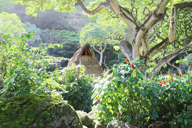 Waimea Valley Waterfall Swim & Dole Plantation Tour with Lunch - Who This Tour Fits Best (and Who Might Feel Off)