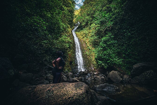 Waterfall Hike in Hawai'i Rainforest Trail - Guides, Group Size, and the Pace That Actually Feels Right